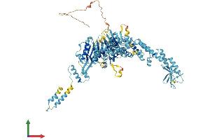 Protein Structure (PS) image for MutS Homolog 5 (MSH5) (AA 1-833) protein (His tag) (ABIN7561724)
