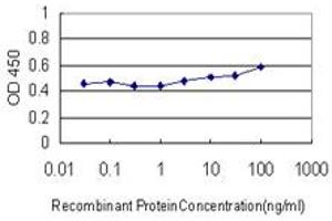 Detection limit for recombinant GST tagged LIPA is approximately 10ng/ml as a capture antibody. (Lipase A Antikörper  (AA 1-399))