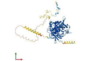 Protein Structure (PS) image for Eukaryotic Translation Initiation Factor 3, Subunit D (EIF3D) (AA 1-548) protein (His tag) (ABIN7553778)