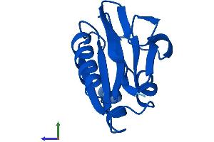Protein Structure (PS) image for Adipogenesis Associated Mth938 Domain Containing (AAMDC) (AA 1-122) protein (His tag) (ABIN7559639)