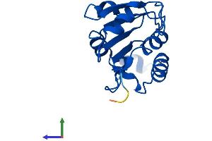 Protein Structure (PS) image for Fucose Mutarotase (FUOM) (AA 1-154) protein (His tag) (ABIN7547809)