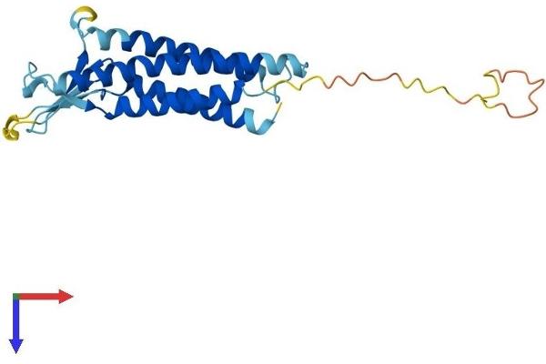 Claudin 3 Protein (CLDN3) (AA 1-220) (His tag)