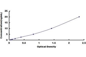 Insulin-Like Growth Factor 1 (IGF1) ELISA Kit