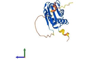 Protein Structure (PS) image for B-Cell Translocation Gene 1, Anti-Proliferative (BTG1) (AA 1-171) protein (His tag) (ABIN7552779)