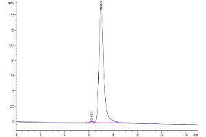 Size-exclusion chromatography-High Pressure Liquid Chromatography (SEC-HPLC) image for Integrin alpha V, Integrin beta 3 (ITGAV/ITGB3) (AA 31-988) protein (His tag) (ABIN7275073)