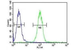 Flow Cytometry (FACS) image for anti-Annexin A1 (ANXA1) (AA 129-158) antibody (ABIN3029969)