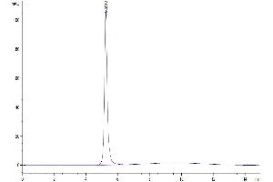 Size-exclusion chromatography-High Pressure Liquid Chromatography (SEC-HPLC) image for Fibrinogen-Like 1 (FGL1) (AA 23-312) protein (Fc Tag) (ABIN7274640)