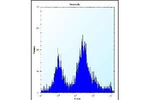 UBE2E2 Antibody (N-term) (ABIN657745 and ABIN2846729) flow cytometric analysis of Neuro-2a cells (right histogram) compared to a negative control cell (left histogram). (UBE2E2 Antikörper  (N-Term))