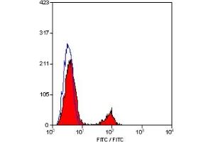 Staining of human peripheral blood lymphocytes with MOUSE ANTI HUMAN CD19:FITC (ABIN119121). (CD19 Antikörper  (FITC))