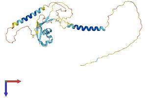 LYSMD4 Protein (AA 1-293) (His tag)