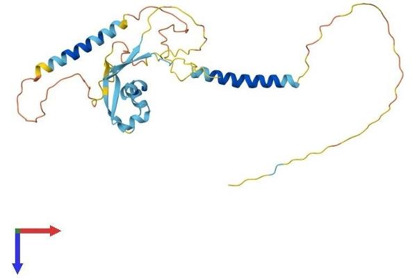 LYSMD4 Protein (AA 1-293) (His tag)