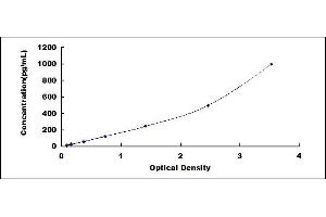 Typical standard curve (LAIR2 ELISA Kit)