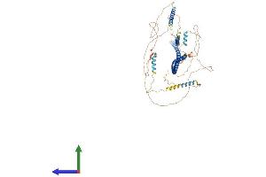 Protein Structure (PS) image for Angiomotin Like 2 (AMOTL2) (AA 1-772) protein (His tag) (ABIN7564647)