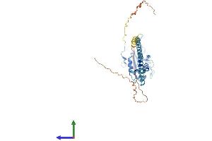 Protein Structure (PS) image for Phosphate Cytidylyltransferase 1, Choline, beta (PCYT1B) (AA 1-369) protein (His tag) (ABIN7558485)