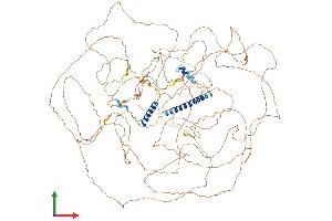 AlphaFold protein structure predicition of Mouse Recombinant Pom121 Protein, UniprotID Q8K3Z9