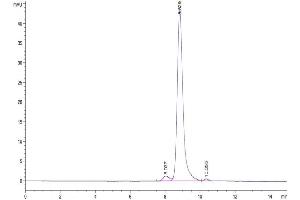 Size-exclusion chromatography-High Pressure Liquid Chromatography (SEC-HPLC) image for butyrophilin, Subfamily 2, Member A1 (BTN2A1) (AA 29-248) protein (His tag) (ABIN7274003)