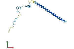 Protein Structure (PS) image for Chibby Homolog 1 (CBY1) (AA 1-127) protein (His tag) (ABIN7560875)