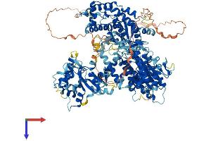 TERT Protein (AA 1-1122) (His tag)