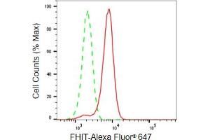 Flow cytometric analysis of FHIT expression in HeLa cells using FHIT antibody (ABIN7798657), 1:2,000). (Rekombinanter FHIT Antikörper)