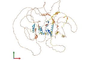 Protein Structure (PS) image for B-Cell CLL/lymphoma 11A (Zinc Finger Protein) (BCL11A) (AA 1-773) protein (His tag) (ABIN7565157)