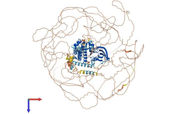 LMTK2 Protein (AA 1-1503) (His tag)
