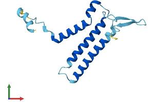 Protein Structure (PS) image for Oligosaccharyltransferase Complex Subunit (OSTC) (AA 1-149) protein (His tag) (ABIN7550564)