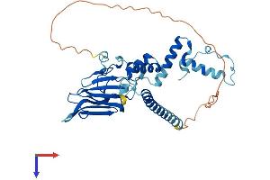 NUDCD3 Protein (AA 1-363) (His tag)