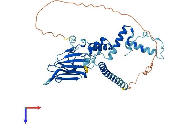 NUDCD3 Protein (AA 1-363) (His tag)