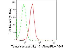 Flow cytometric analysis of Tumor susceptibility 101 expression in HT- cells using Tumor susceptibility 101 antibody (ABIN7800697), 1:2,000). (Rekombinanter TSG101 Antikörper)