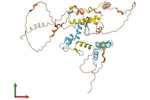 Protein Structure (PS) image for Zinc Finger Protein 641 (ZNF641) (AA 1-438) protein (His tag) (ABIN7545344)