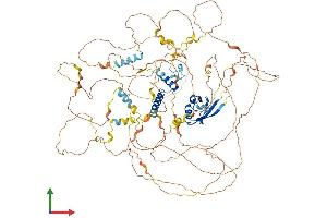 Protein Structure (PS) image for Synaptopodin 2-Like (SYNPO2L) (AA 1-975) protein (His tag) (ABIN7564443)