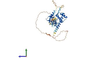 AlphaFold protein structure predicition of Mouse Recombinant Lmx1a Protein, UniprotID Q9JKU8