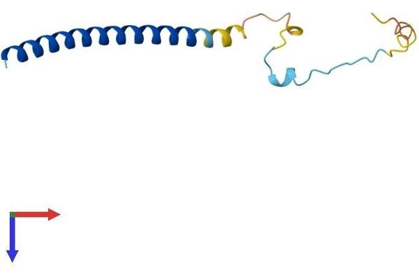 SNAPC5 Protein (AA 1-98) (His tag)
