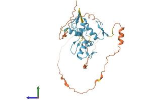 Protein Structure (PS) image for Snail Homolog 3 (SNAI3) (AA 1-287) protein (His tag) (ABIN7561775)