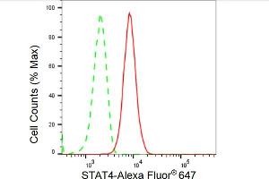 Flow cytometric analysis of STAT4 expression in HT- cells using STAT4 antibody (ABIN7800346), 1:2,000). (Rekombinanter STAT4 Antikörper)
