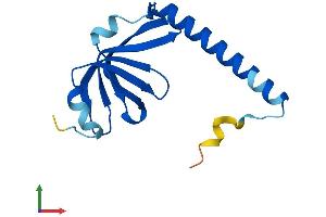 Protein Structure (PS) image for LSM1 Homolog, U6 Small Nuclear RNA Associated (LSM1) (AA 1-133) protein (His tag) (ABIN7559803)