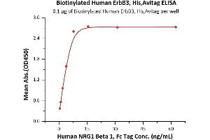 Immobilized Biotinylated Human ErbB3, His,Avitag (ABIN6933652,ABIN6938835) at 1 μg/mL (100 μL/well) on Streptavidin  precoated (0.