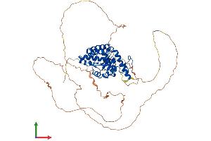 Protein Structure (PS) image for Eyes Absent Homolog 3 (EYA3) (AA 1-573) protein (His tag) (ABIN7553889)