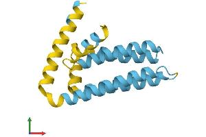 AlphaFold protein structure predicition of Mouse Recombinant Sft2d1 Protein, UniprotID Q5SSN7