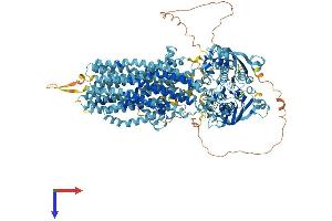 ABCC12 Protein (AA 1-1359) (His tag)
