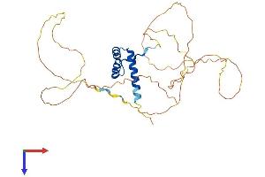 AlphaFold protein structure predicition of Mouse Recombinant Hoxc13 Protein, UniprotID P50207