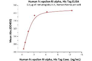 Immobilized Immunoglobulin E, Human Plasma at 5 μg/mL (100 μL/well) can bind Human Fc epsilon RI alpha, His Tag (ABIN2181075,ABIN2181074) with a linear range of 0.