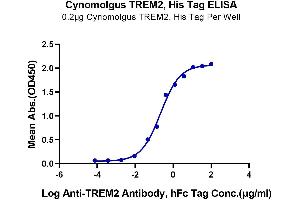ELISA image for Triggering Receptor Expressed On Myeloid Cells 2 (TREM2) (AA 19-174) protein (His tag) (ABIN7275786)