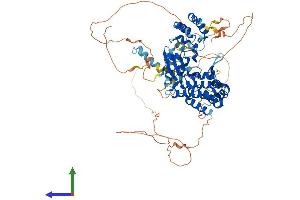 Protein Structure (PS) image for Interleukin-1 Receptor-Associated Kinase 1 (IRAK1) (AA 1-712) protein (His tag) (ABIN7554223)