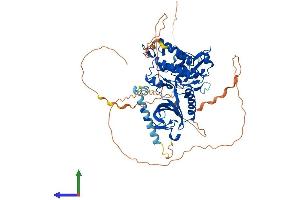 Protein Structure (PS) image for Dual-Specificity tyrosine-(Y)-phosphorylation Regulated Kinase 1B (DYRK1B) (AA 1-629) protein (His tag) (ABIN7553753)