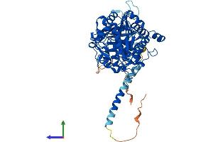 Protein Structure (PS) image for Myotubularin 1 (MTM1) (AA 1-603) protein (His tag) (ABIN7565296)