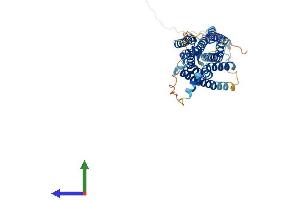 AlphaFold protein structure predicition of Human Recombinant NMBR Protein, UniprotID P28336 (NMBR Protein (AA 1-390) (His tag))