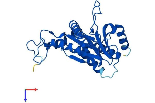 PSMA6 Protein (AA 1-246) (His tag)