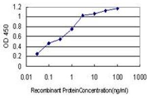 ELISA image for anti-Aldo-Keto Reductase Family 1, Member B10 (Aldose Reductase) (AKR1B10) (AA 76-143) antibody (ABIN566074)