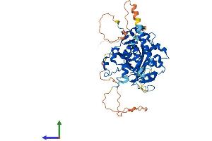 Protein Structure (PS) image for HSPB (Heat Shock 27kDa) Associated Protein 1 (HSPBAP1) (AA 1-488) protein (His tag) (ABIN7548201)